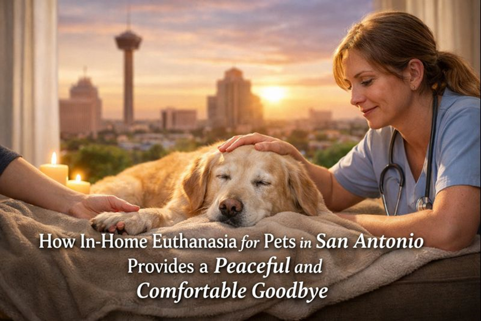 How In-Home Euthanasia for Pets in San Antonio Provides a Peaceful and Comfortable Goodbye