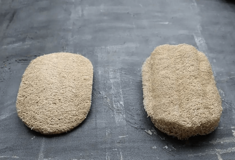 Top Reasons to Switch to Eco Friendly Kitchen Sponges Today