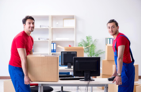 How to Select a Professional Sydney Removalist for Safe Moving